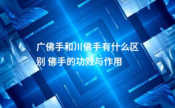 广佛手和川佛手有什么区别 佛手的功效与作用